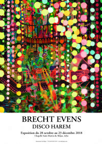 Exposition Brecht Evens Disco Harem. Du 28 octobre au 23 décembre 2018 à Arles. Bouches-du-Rhone. 